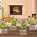 Razzlehot Artificial Plants Fake Plants & Flowers with LED Lights Set of 4 Potted Faux Plant Decor Greenery Decor for Home Office Farmhouse Indoor Decoration Table Centerpiece