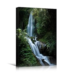 signwin Canvas Wall Art Quiet Double Waterfalls Landscape...