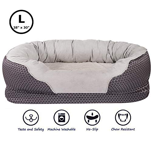 Top 14 Best Dog Beds For Labs Available in 2019 Pet Struggles