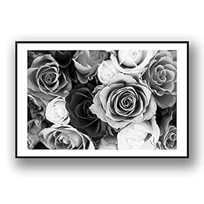 Framed for Living Room Bedroom Grey Rose Flowers for