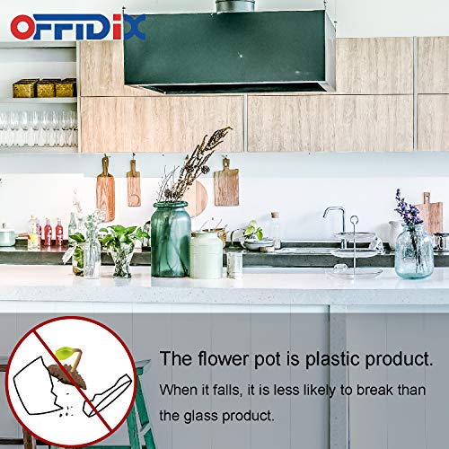 OFFIDIX Artificial Eucalyptus Plants with White Square Vase Small Artificial Tree for Office Desktop Decor Fake Plants for Home and Office Indoor Decorations - Thumbnail 6