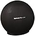 Harman/kardon - Onyx Mini Portable Wireless Speaker - Black