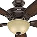 Hunter 53255 Markley 56-Inch Onyx Bengal Ceiling Fan with Five Burnished Cherry Blades and a Light Kit