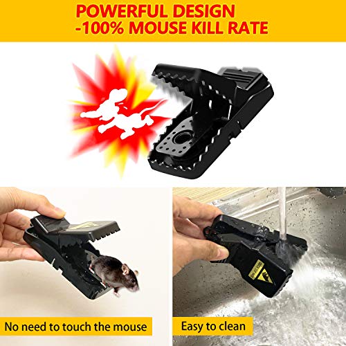 Mouse Traps,Small Mice Traps That Work, Humane Mouse Traps with