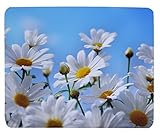 Gaming Daisies 2 Mouse Pad Oblong Shaped Mouse Mat Design Natural Eco Rubber Durable Computer Desk Stationery Accessories Mouse Pads For Gift Support Wired Wireless Or Bluetooth Mouse
