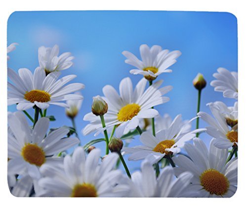 Gaming Daisies 2 Mouse Pad Oblong Shaped Mouse Mat Design Natural Eco Rubber Durable Computer Desk Stationery Accessories Mouse Pads For Gift Support Wired Wireless Or Bluetooth Mouse