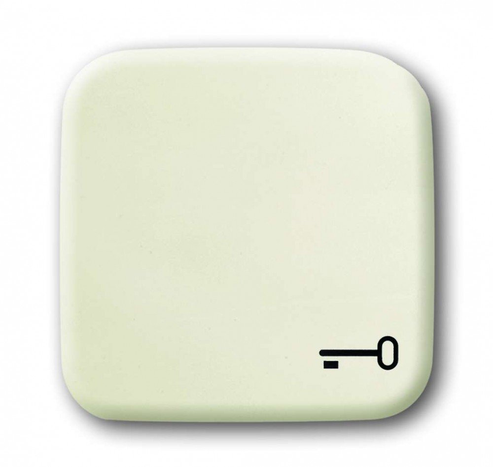 'Busch-Jaeger Cover for Switch with Symbol' Schlüssel 2520TR Satellite