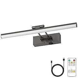 JUSHENG Battery Operated Picture Light with Remote