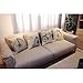 HIPPIH 4 Packs Cotton Linen Sofa Home Decor Design Throw Pillow Case Cushion Covers 18 X 18 Inch,4 x Bike