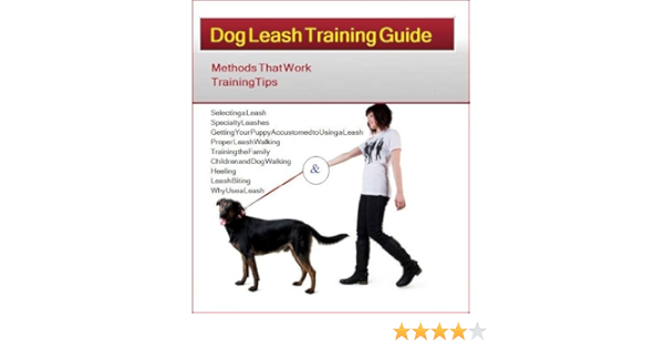 proper leash training