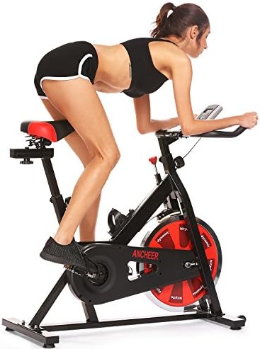 Trbitty Belt Drive Indoor Cycling Bike, Spin Bike (Black-Red)
