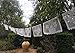 MesaChic Mexican Papel PICADO Banner Large All White Bunting 20' feet Long with 10 Flags