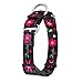 Dazzber Comfortable Floral Print Martingale Dog Collars, Sun Flower, Large, Neck 17 Inch to 25 Inch, Adjustable Dog Collar Heavy Duty