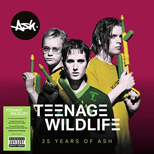 Album art for Teenage Wildlife - 25 Years of Ash by Ash