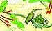 A Nest Is Noisy: (Nature Books for Kids, Children's Books Ages 3-5, Award Winning Children's Books) (Sylvia Long)