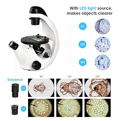 image for TELMU Inverted Microscope 40X-320X Specializing in Living Cells, Compo