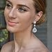 EVER FAITH Austrian Crystal Zircon Elegant Floral Teardrop Dangle Earrings Clear Silver-Tone