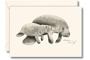 STEVEN M. LEWERS & ASSOCIATES Earth Sky + Water - Manatee Notecard Set - 8 Blank Cards with Envelopes