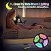 LED Strip Lights Battery Operated,SOLMORE 13.2FT/4M RGB LED Light Strip SMD5050 60 LEDs Rope Lights Led Lights for Room Color Changing Flexible LED Strip Kit for Party Indoor Outdoor (2Pcs)