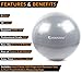 SmarterLife Exercise Ball Yoga Ball for Fitness, Balance, Stability, or Pregnancy, Gym Ball for Core Workout, Physical Therapy, Yoga Ball Chair for Office, Anti-Slip Anti-Burst (65 cm, Silver)