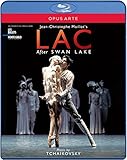 SWAN LAKE                                          image