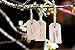 Lynmmax Wood Gift Tags/Blank Wooden Tags for Wine, Decor, Weddings (pkg of 100)