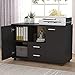 Tribesigns 2 Drawer File Cabinets, Mobile Lateral Filing Cabinets Printer Stand on Wheels, Office Cabinet with 2 Doors Storage Cabinet