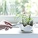 Mkono 6-Inch White Ceramic Succulent Plant Pot with Saucer Modern Cactus Planter Decorative Planting Bowl with Drainage Hole