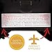 KidsEmbrace Disney Beauty and The Beast Belle 2-in-1 Forward-Facing Car Seat Latch | 5-Point Harness 26.5-65lbs converts to Belt-Positioning Booster 40-100lbs | Adjustable