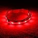 Blazin Light Up Dog Collar - The Original LED Dog Collar - USB Rechargeable - Waterproof - 1,000 Feet of Visibility - Dog Collar Light for Small, Medium, Large Dogs - USA Brand