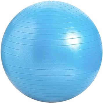 Amazon.com: Yoga Ball Anti-Burst Exercise Ball Exercise Gym ...