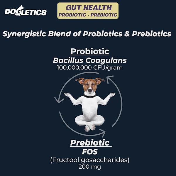 DOGLETICS GUT HEALTH PROBIOTIC & PREBIOTIC – 90CT SUPPORT STOMACH MICROBIOME, PREVENT DIGESTIVE PROBLEMS, REDUCE ANAL GLAND ISSUES, IMPROVE IMMUNE FUNCTION AND OVERALL ENERGY