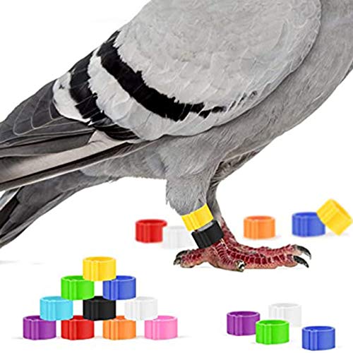 Ba30DEllylelly 100 Stück Taubenringe 8mm Bajonett Identifikationsring Öffnung Taubenring Farbe Taubenfußring… – Bild 4