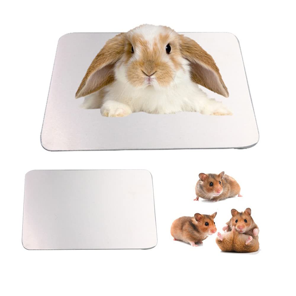 Namvo Summer Cool Plate Cooling Pad Hamster Mat Ice Bed for hamster 10 * 6cm/ 3.9 * 2.4inch