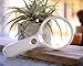 Magnifying Glass - Best Handheld Magnifying Glass With LED Light, Two Lenses (3X & 15X), BONUS Batteries Included