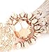 Boderier Bohemian Statement Thread Tassel Chandelier Drop Dangle Earrings with Cassandra Button Stud (Rose Gold)