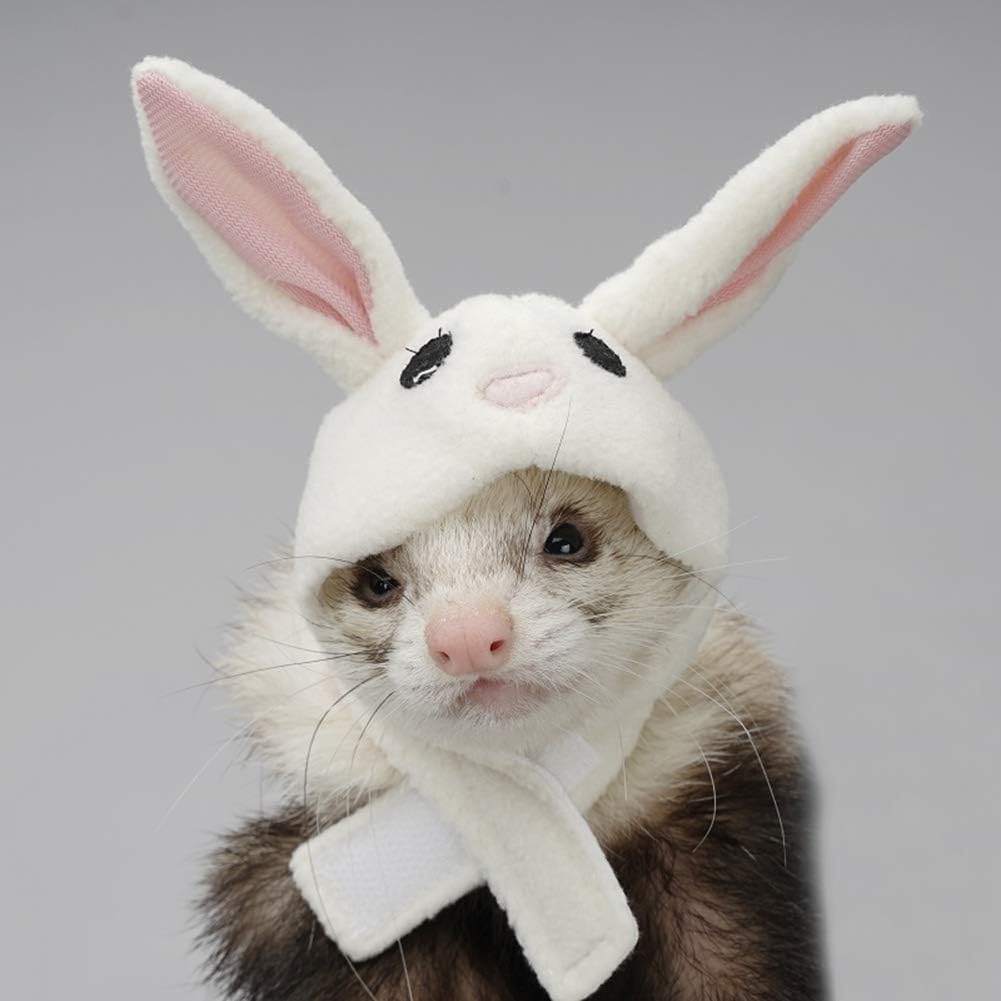 ferret hat