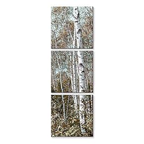 3 Panel Birch Woods Pictures Home Wall for...