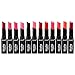 12pc Nabi Cosmetics Professional Matte Lipstick Set of 12 Amazing Colors #MLS01-12 primary