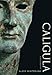Caligula: A Biography by Aloys Winterling, Deborah Lucas Schneider