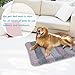 JoicyCo Extra Large Dog Bed Crate Pad 47 in Mat 100% Washable Anti-Slip Dog Matress Kennel Pads