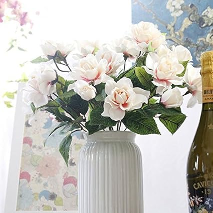 Amazon Co Jp 2 2pcs Bagガーデニア球根 ジャスミン岬 盆栽花球根植物 ガーデニア種ではない の香りホームガーデン2の香り ホーム キッチン