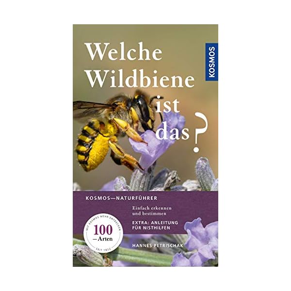 Welche Wildbiene ist das?: Einfach erkennen und bestimmen, Extra: Anleitung für Nisthilfen