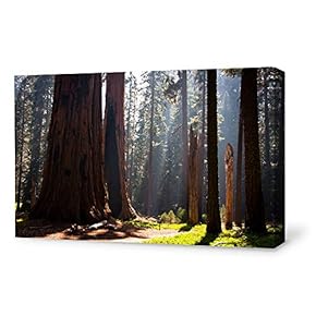 SIGNFORD Canvas Wall Art for Living Room,Bedroom Home...