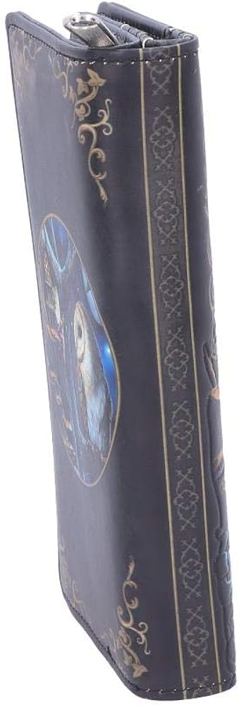 Nemesis Now B4864P9 Lisa Parker Fairy and Owl Purse 18.5cm, PU, Black, One Size - Image 5