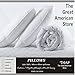The Great American Store - Set of 2 Indoor/Outdoor 6D Pillows (28 X 28) Pillow for Decorative, Bed Pillow Shams - Fiberfill