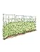 Gardeners Supply Company Sturdy Expandable Tall Pea Trellis for Climbing Plants | Multi-Use Heavy Duty Outdoor Garden Peas, Tomato, Cucumber Steel Plant Support | 9'-8