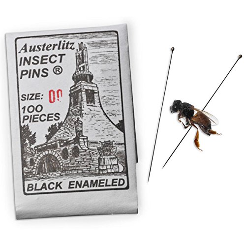 To Get Best Deal Pack 100 Insect Pins Size Pack 100 Insect Pins Size
