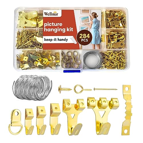 Wellnur 284pcs Picture Hooks | Heavy Duty Picture Hanging Kit | Rustproof Assorted Picture Hangers, 62 Hooks, 30 Sawtooth, D-Rings, Wire, Nails & Screws for Mirrors, Frames & Paintings