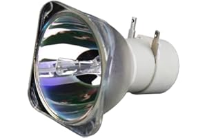 BL-FU240A Projection lamp fit for DH1011/EH300/HD131X/HD25/HD25-LV/HD2500/HD30/HD30B Projectors(BL-FU240A-CB)